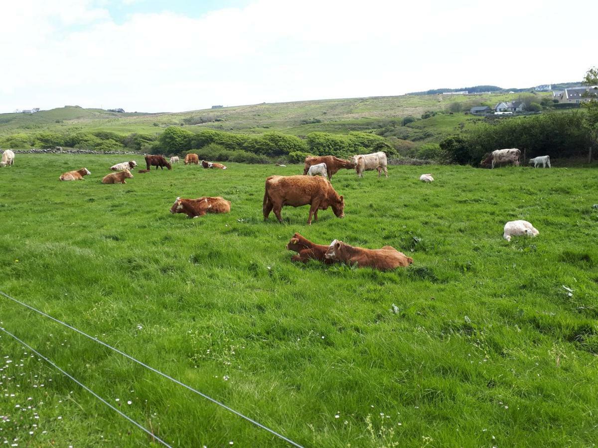 Doolin Farm Apartment Luaran gambar